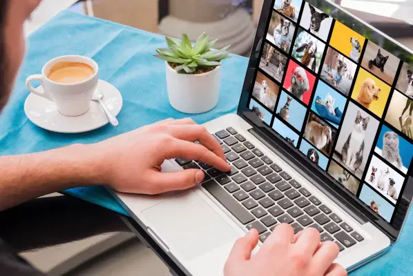 fotoware-expertise